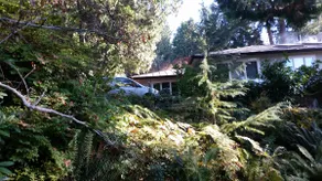 West Vancouver Retreat - Image 2