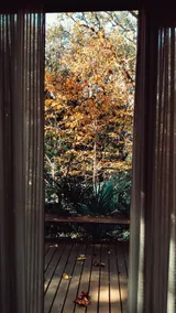 Osho's cabin - Image 5