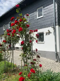 Pension ”Eulennest” Dippoldiswalde Nähe Altenberg - Image 5