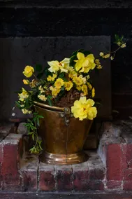 Romantic ARMOURY COTTAGE (1823) - History & Charm - Image 4
