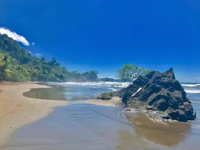 Luxury Ocean View/Walk to Beach! Sleeps up to 16 - Image 5