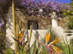 Private garden oasis: Casa Scirocco Glicine - Image 5