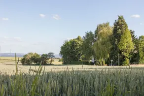 Country house 3 Birken Mosel/Eifel - Image 3