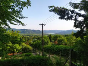 Kosbor Kuckó - Image 2