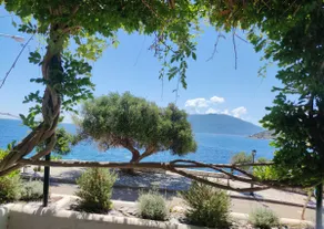 Octopus's Garden - Image 3