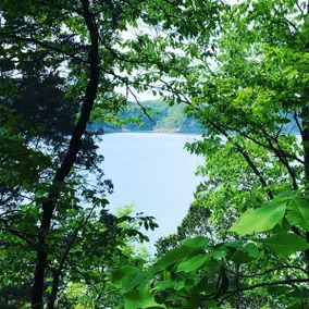 Spacious Lake Escape Near Conley Bottom - Image 5