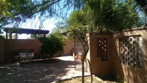 U of A Parent’s Desert Oasis - Image 5