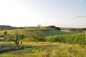 Maler of Neukirch - Image 2