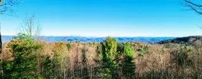 Hilltop Haven - Image 4