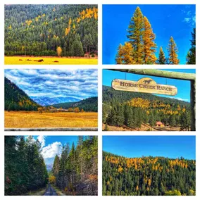 The Bunkhouse - Horses, Wildlife and Big Sky Views - Image 2