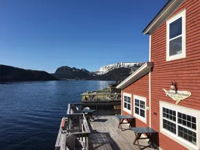 Alone Time in Gros Morne - Image 4