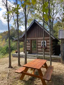 Hidden cabin - Image 5
