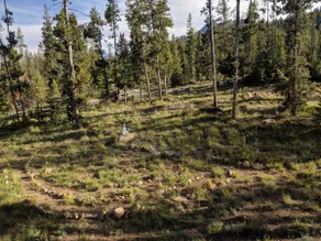 - 60 Goat Creek - - Image 3