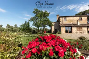 Villa San Marco con piscina - Image 3