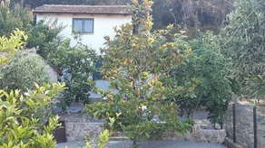 White Manolia Cottage - Image 2