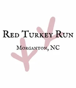 Red Turkey Run Mountain Cabin Retreat with hot tub - Image 2