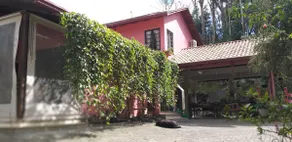 Flower Corner - Image 2