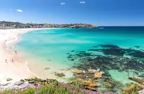 Bondi Beach Studios Suite 1 - Image 5