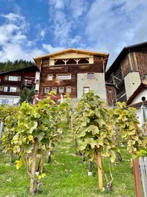 Spacious 3 bedroom Chalet near Flims - Image 4