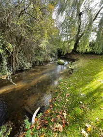 Totally Private, idyllic House with hot tub in an acre of private gardens - Image 4