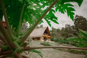 La Luciana! (Romantic gateaway) - Image 4