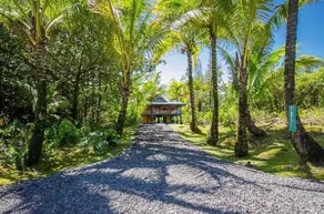 Sale-Oct-4,8 Treehouse Vibe Near Hilo AC WD Ocean - Image 5