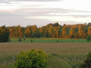 Waikato Jaks. - Image 2