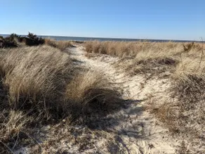 Seahorse Ranch, King bed, Two blocks from Beach - Image 4