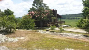 Calico Rock Cabin-500 Calico St (390 Chessmond Ferry Rd) med udsigt over White River - Image 3