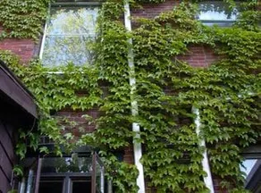 HistoricWestEnd 3StoryBrickTownhouse WalkToAll 5* - Image 5