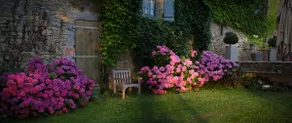 Private Countryside Dependency - Free Breakfast - Image 4
