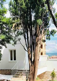 Spacious Villa Above Beach - Image 3