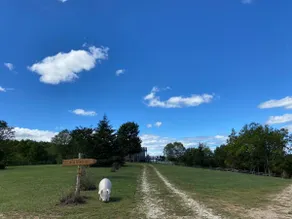 A Farm for Every Season - Altamont Farm - Image 2