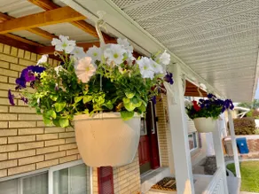 The Brown House - Image 3