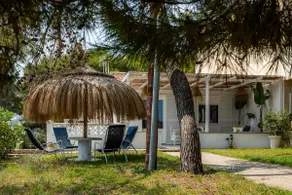 Enjoy Villa Pura Vida on the beachfront - Image 5