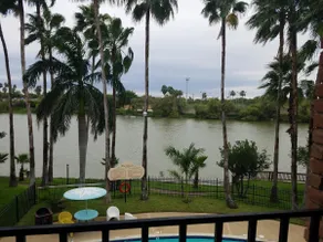 Brownsville birding, walk to Mexico, drive to SPI - Image 4