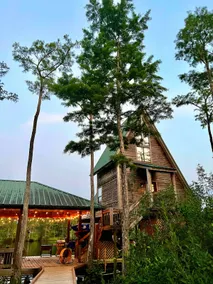 Secluded cabin on the water jetski, kayak & hottub - Image 5