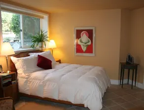 Star House 50% disc Mo. Ski. Hike. Work remotely. - Image 4