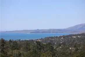 Coastal Vista – Ocean & Forest views Cambria Ca - Image 3