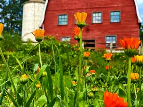 Cozy Farmstead Cottage Getaway - Image 5