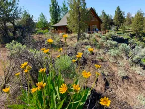 Steelhead Falls Log Cabin - Image 3