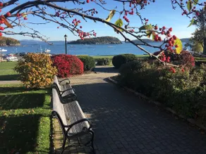 Introduktion: \"Beach Point Cottage\" i hjertet af Bar Harbor! - Image 3