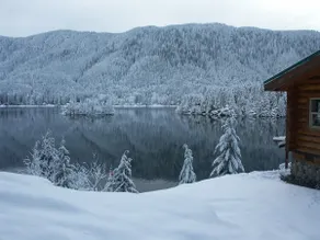Lakefront Log Cabin Getaway - Image 3