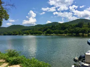 Deltopia on Waterfront New River/Claytor Lake - Image 2