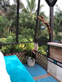East Hawaii Jungle Suites: Treehouse Cottage - Image 3