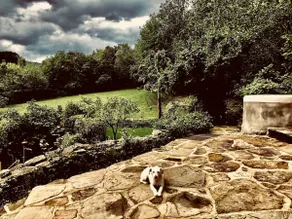 PIPPO'S LITTLE RESORT/2 - Image 4