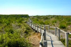Casa dos Amigos - A luxury home in the nature - Image 4