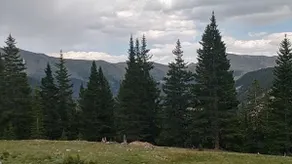 The Lower Cumberland Pass Cabin - Image 5