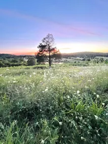 Tiny Home with Big Views - Image 5
