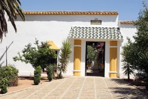 1721 HOUSE 10 MIN.DE SEVILLA - Image 3